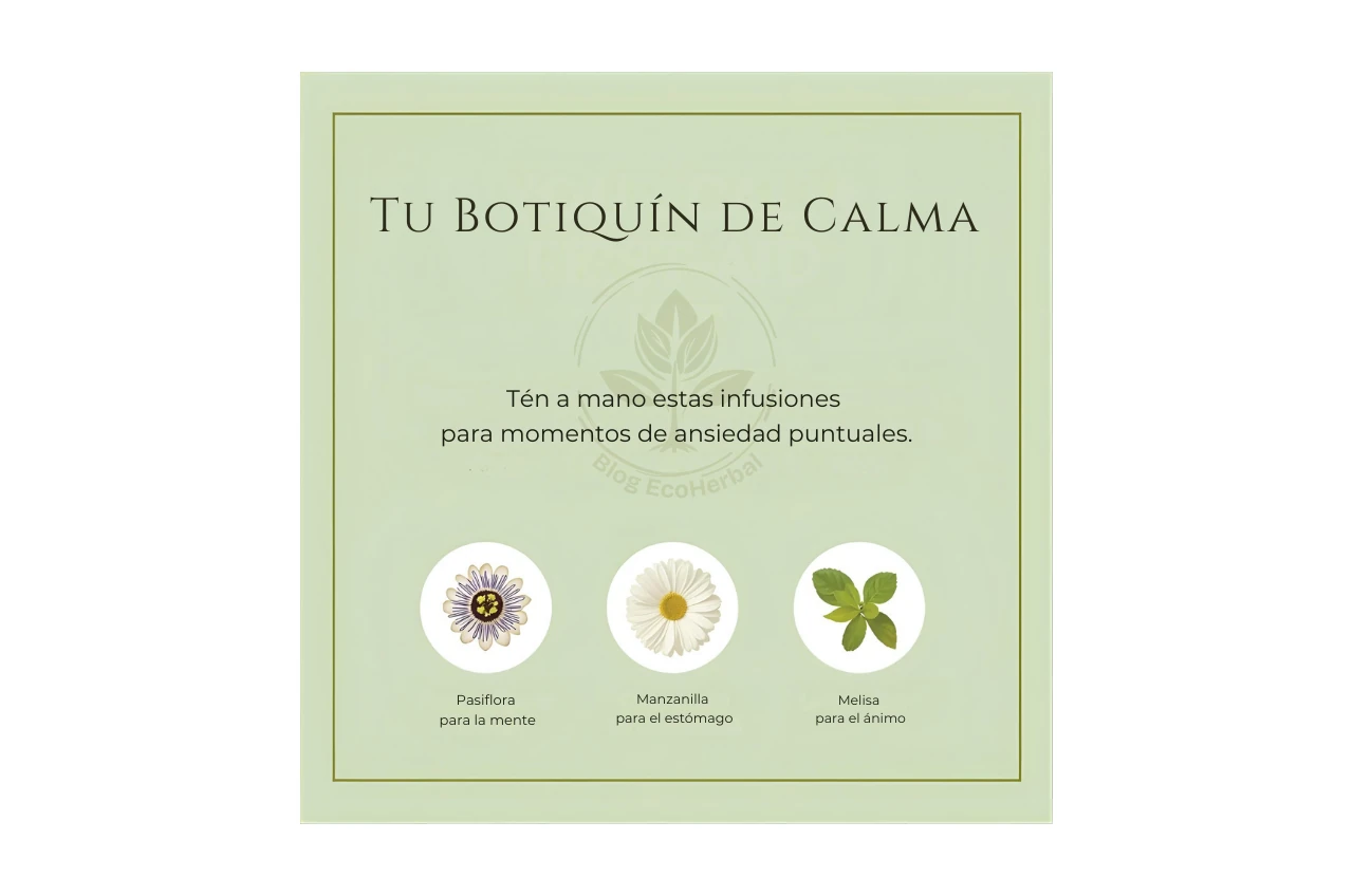 Resumen de las infusiones recomendadas para calmar la ansiedad de forma inmediata