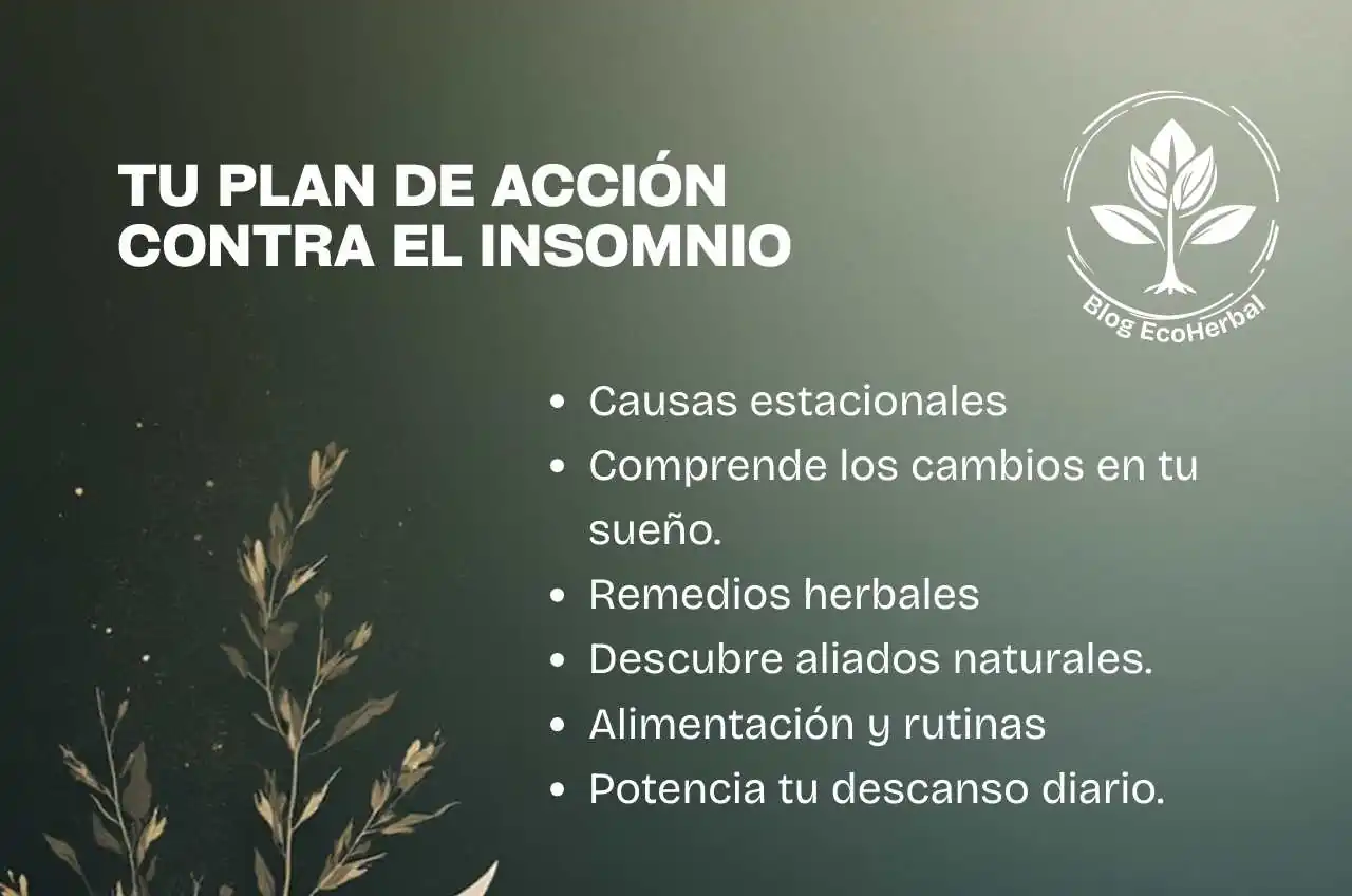 Resumen de la guía para combatir el insomnio en otoño con remedios naturales y rutinas.