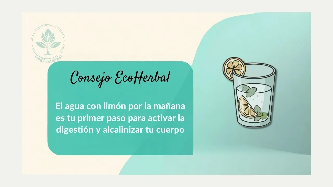 Consejo Clave para tu Detox – EcoHerbal Viñeta con un consejo clave sobre los beneficios de tomar agua con limón por la mañana