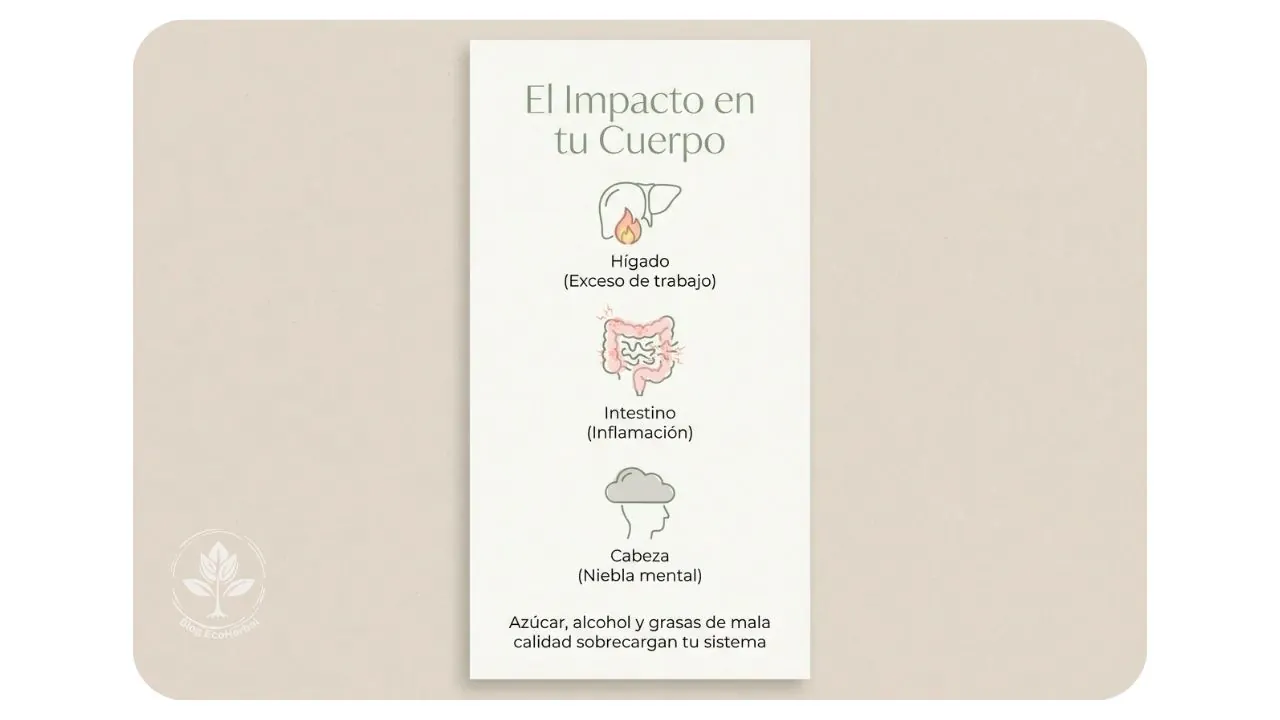 Cómo te Afectan los Excesos – EcoHerbal Infografía que muestra el impacto del exceso de azúcar y alcohol en el hígado, intestino y mente