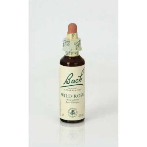 flores bach BACH 37 WILD ROSE (ROSA SILVESTRE) 20ML