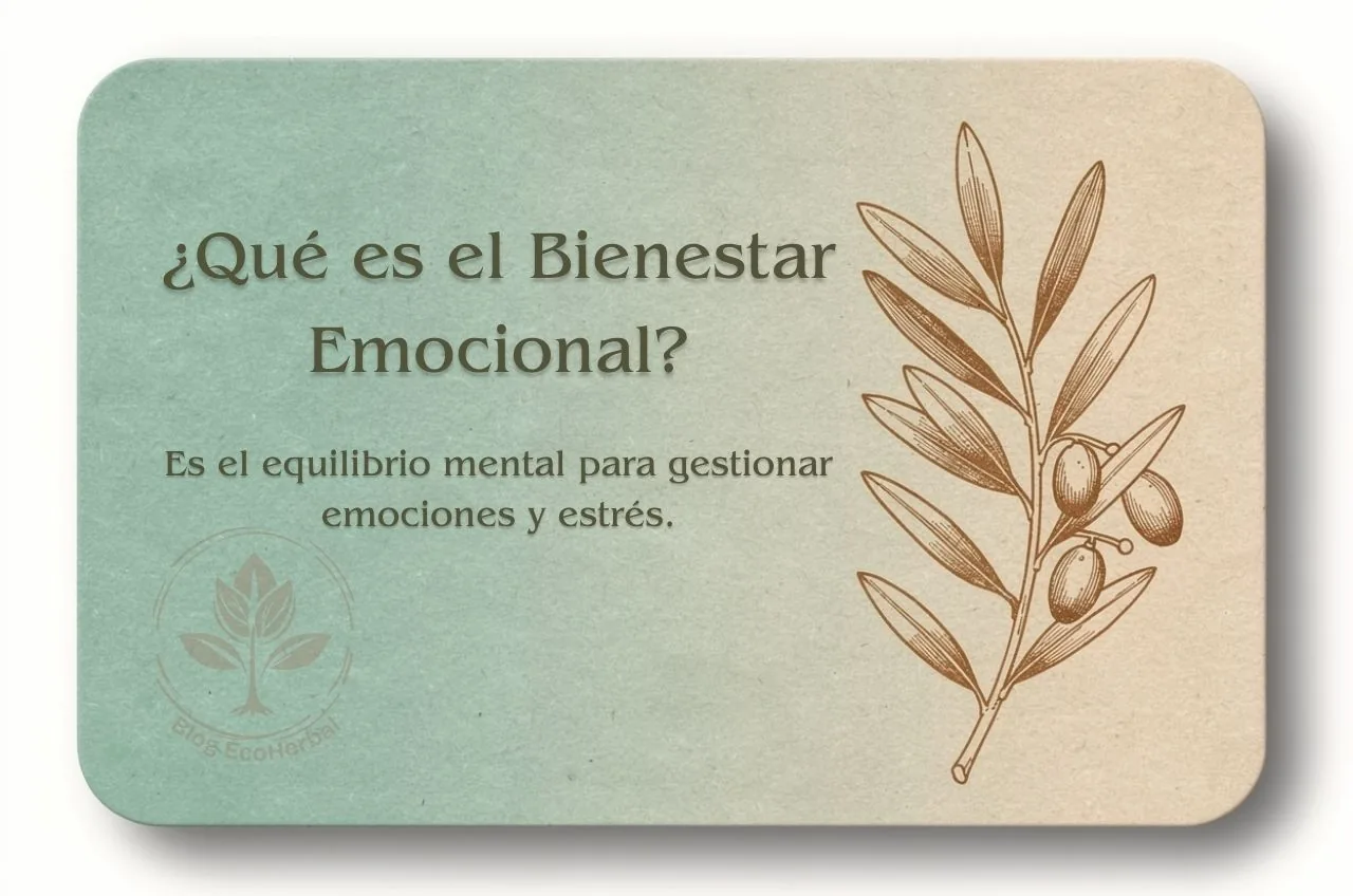 Recuadro gráfico con la definición clave de bienestar emocional.
