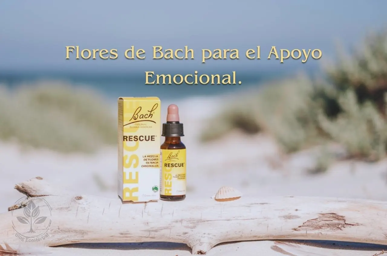 Flores de Bach Rescue en la playa: frasco y caja sobre una rama de madera con fondo de mar, símbolo de apoyo emocional natural.