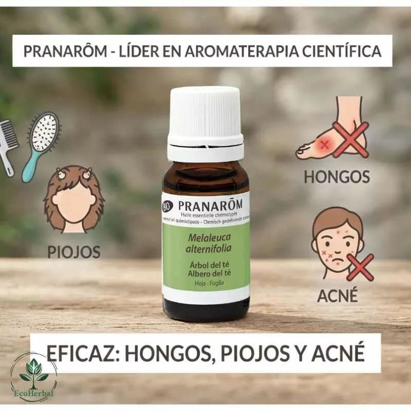 PRANAROM - Aceite esencial árbol del té 10ml - eficaz: hongos, piojos y acné - Imagen 4