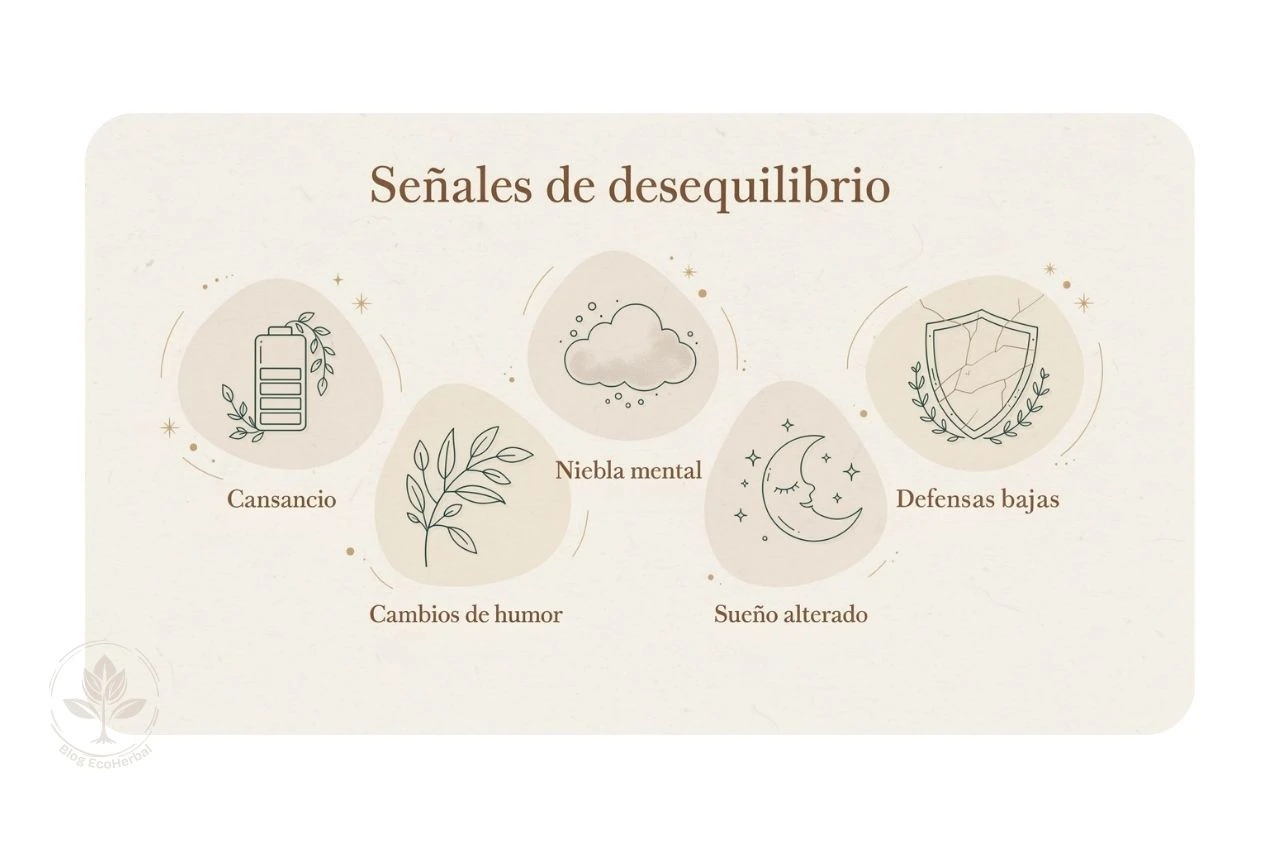 Síntomas de la Astenia Primaveral – EcoHerbal Infografía con los 5 síntomas principales de la astenia primaveral.