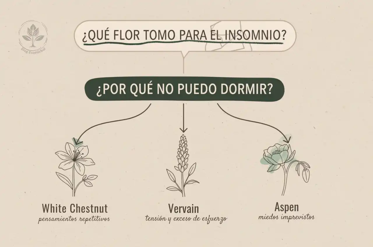 Emoción vs Síntoma_ El Enfoque Correcto de las Flores de Bach Ilustración sobre la diferencia entre tratar el síntoma y la emoción en la terapia de Flores de Bach