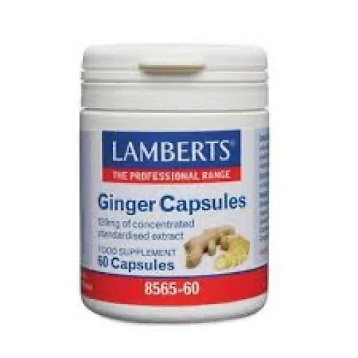 digestivos GINGER 60 COMP