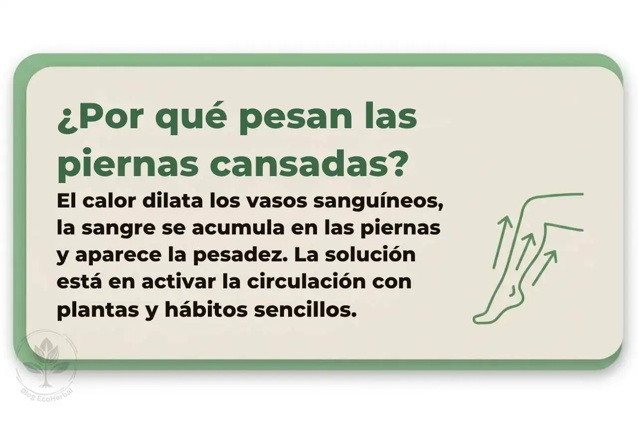 Resumen Visual_ Causas de las Piernas Cansadas — EcoHerbal Recuadro gráfico explicando por qué ocurren las piernas cansadas con el calor y cómo solucionarlo.
