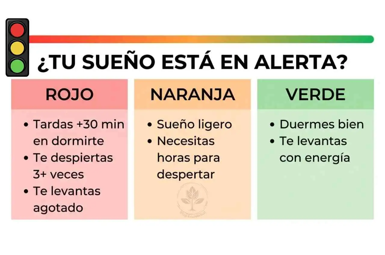 Semáforo del Sueño – ¿En qué nivel estás_ – EcoHerbal Semáforo visual que clasifica las señales de problemas de sueño en rojo (grave), naranja (medio) y verde (buen descanso).