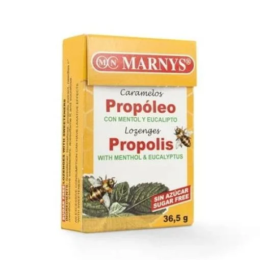 caramelos y gominolas CARAM. PROP. MENTOL 36.5GR