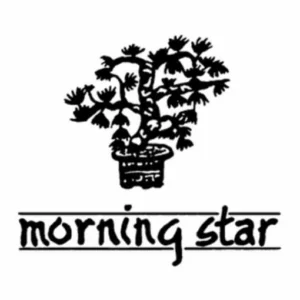 Marca MORNING STAR