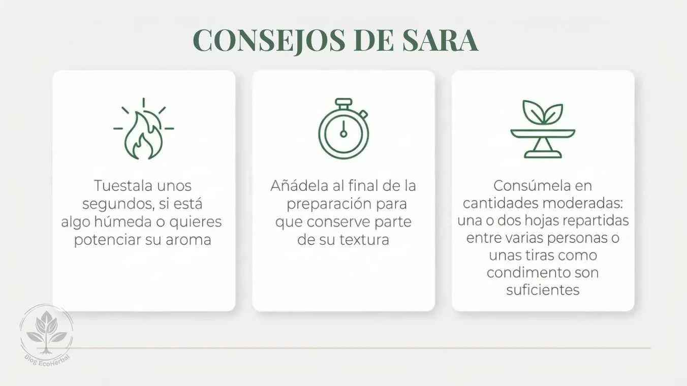 Tres tarjetas con consejos sobre el consumo del alga nori: tostar para potenciar aroma, añadir al final de la cocción, consumir en cantidades moderadas
