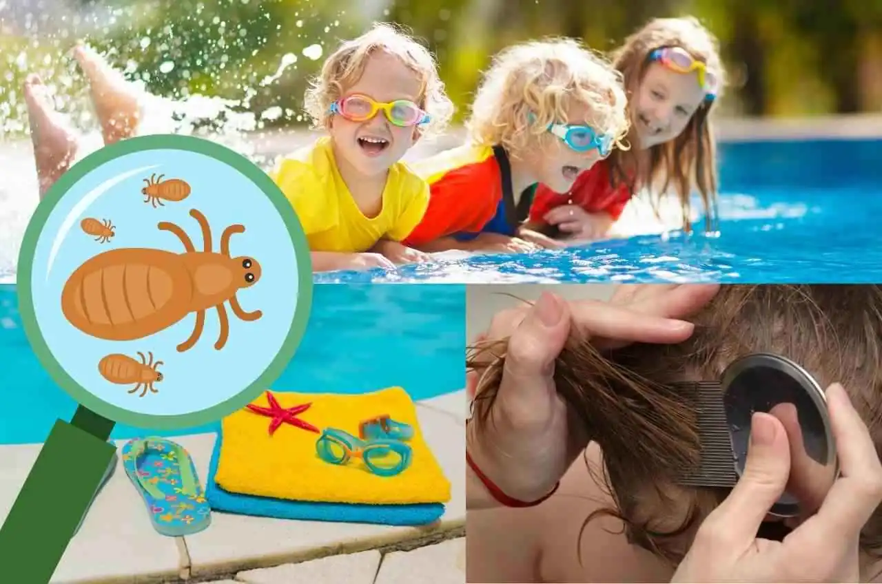 Resumen visual sobre el mito de la piscina y los piojos: no es el agua sino las toallas y el contacto.