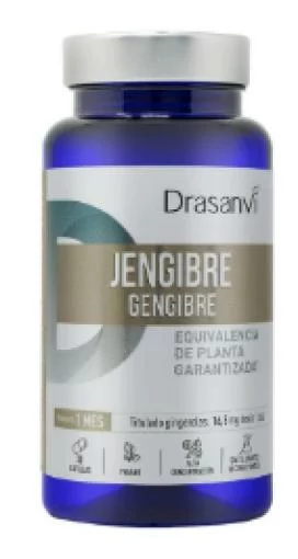 plantas en comprimidos 8436601109491 JENGIBRE BOTE 30 CAPSULAS