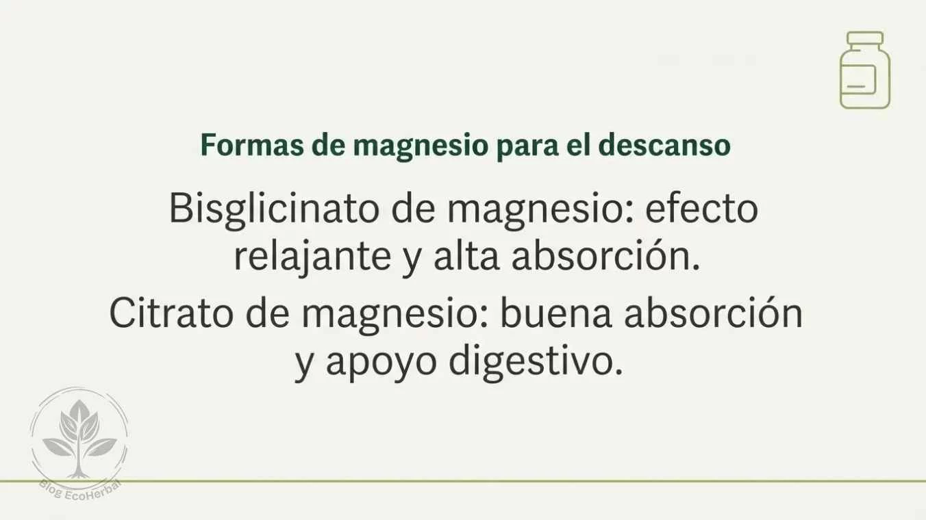 Formas de Magnesio para el Descanso – EcoHerbal Viñeta con información sobre las formas de magnesio recomendadas: bisglicinato para relajación y citrato para apoyo digestivo.