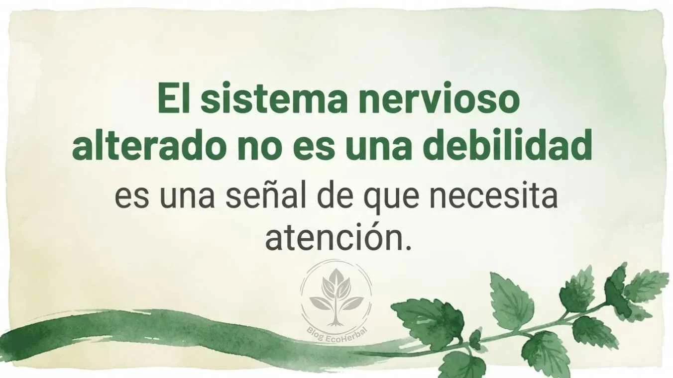 Señal de Atención del Sistema Nervioso – EcoHerbal Recuadro con acuarela suave y mensaje sobre que el sistema nervioso alterado no es una debilidad sino una señal de atención.
