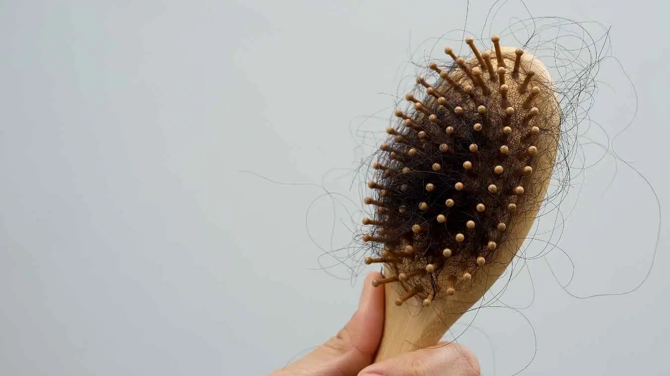 Caída Estacional del Cabello en Otoño — EcoHerbal Cepillo con pelos atrapados tras el peinado, síntoma visible de la caída estacional del cabello en otoño